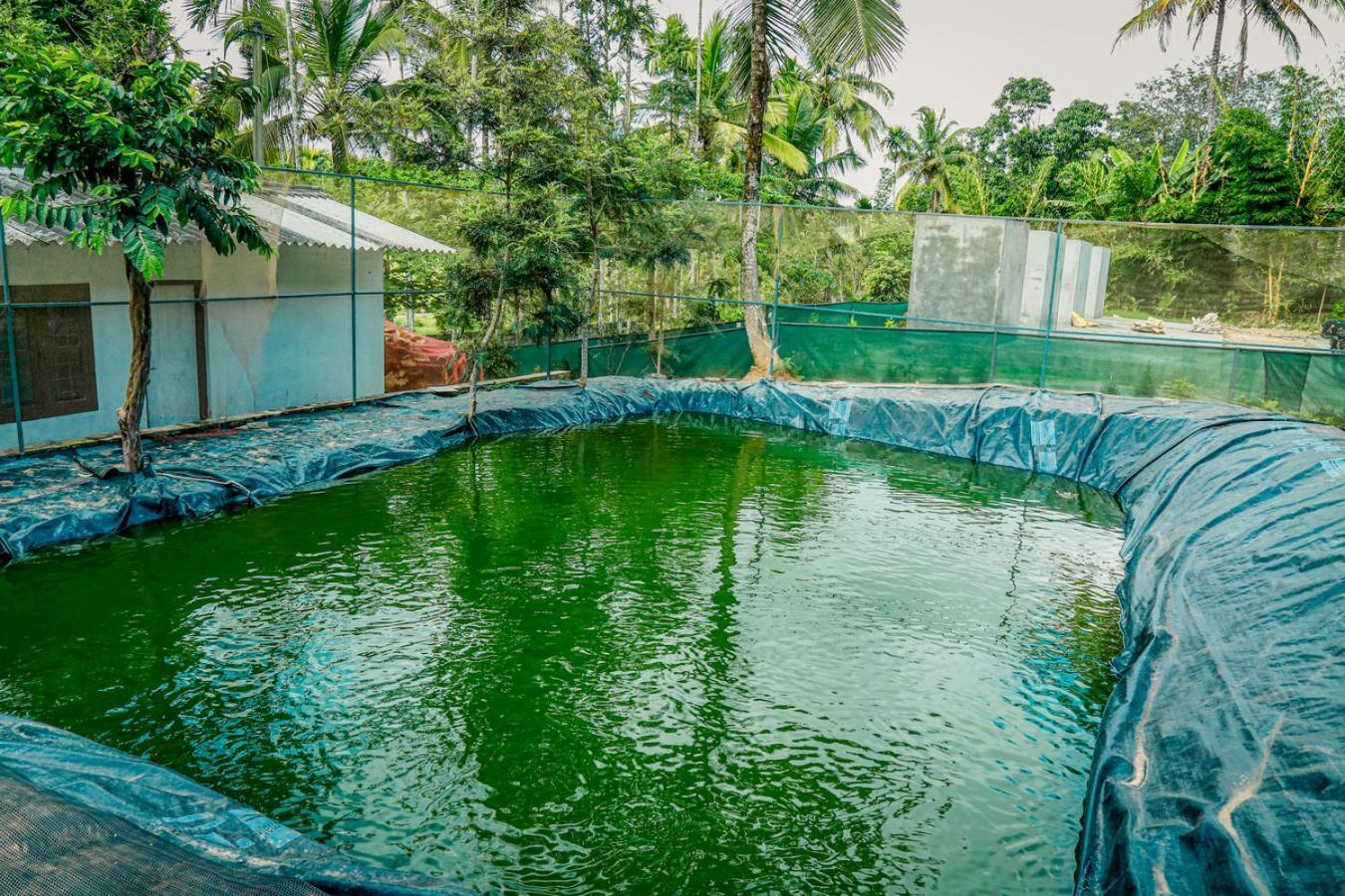 Green Aura Sultan Bathery Exterior foto
