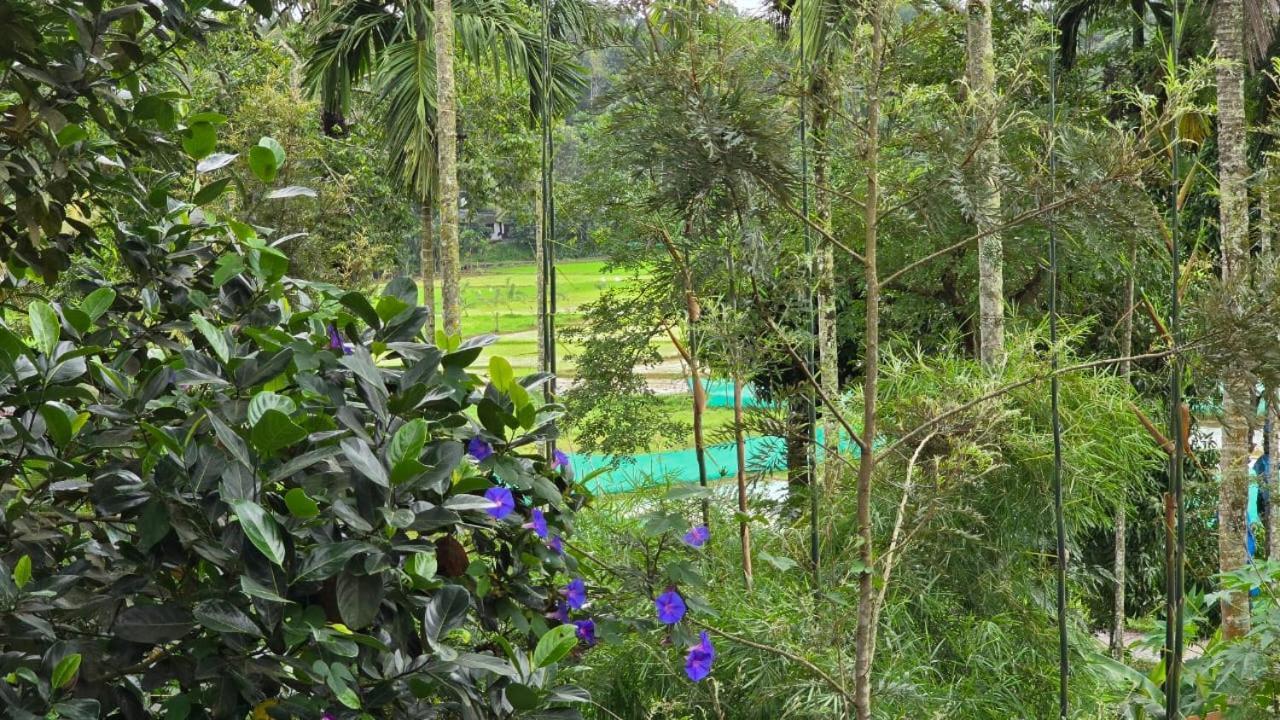 Green Aura Sultan Bathery Exterior foto